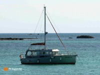   de 2013  - photo 1