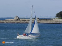   de 1991  - photo 2