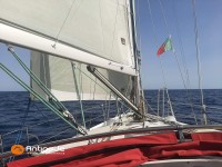   de 2009  - photo 10