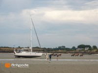   de 2011  - photo 2