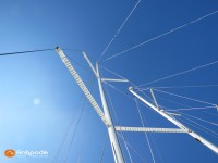   de 2020  - photo 21