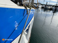   de 2012  - photo 28