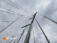   de 2008  - photo 30