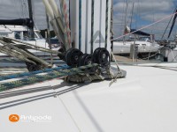   de 2015  - photo 31