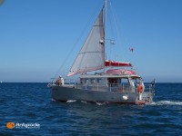   de 2013  - photo 4
