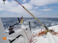   de 2015  - photo 37