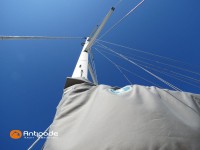   de 2009  - photo 38