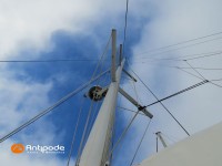   de 2012  - photo 50