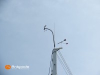   de 2020  - photo 54