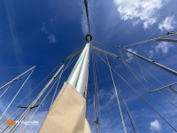   de 2015  - photo 73